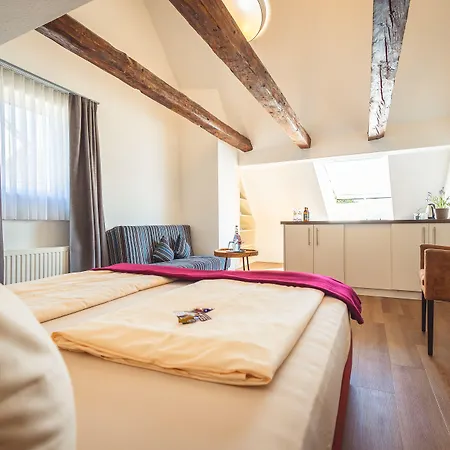Residenz Otel 3*